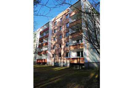 Wohnung zum Mieten in Walddrehna 528,00 € 66 m²