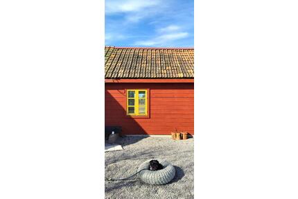 Ferienhaus Schweden Kalmarsund umgebauter Stall - Velbert Velbert-Mitte