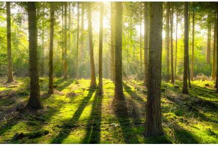 Grundstück in Gerolsbach 62.000,00 € 7800 m²