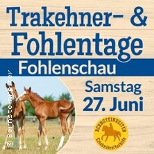Fohlenschau der Ostsee-Trakehner | und Minishettys