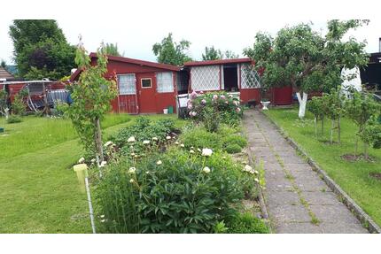 Kleingarten in Northeim Am Sollingtor