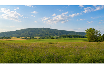 Grundstück zu verkaufen in Weitersweiler 143.000,00 € 445 m²