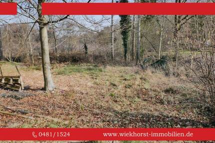 Attraktive Baulücke in Waldrandlage von Heide-Süderholm|Positiver Bauvorbescheid vorliegend