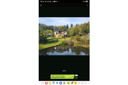 Pachtgarten Teiche Garten mit Hütte Gartenhütte Wochenendhaus - Suhl Schmiedefeld am Rennsteig