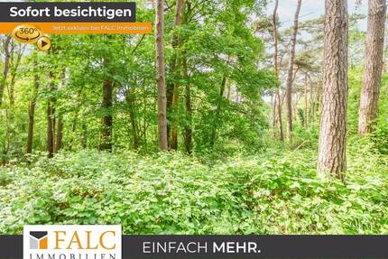Ein Stück Holter Heide fürs eigene Portfolio - Brüggen