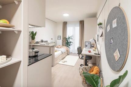 Single Studio in THE FIZZ Hamburg Hammerbrook – Available June 1s