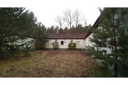 ALLEINLAGE HAUS im WALD SCHULUNGSZENTRUM TIERHEIM PENSION - Forst (Lausitz)