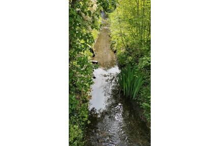 Schrebergarten, Garten, Gartenland, Ackerland - Lübbecke