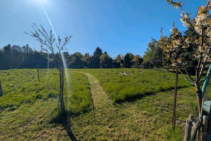 750m2 Wiese zu verpachten - 80,00&nbsp;EUR Kaltmiete, ca.&nbsp; 0,00&nbsp;m&sup2; in Radeburg (PLZ: 01471)