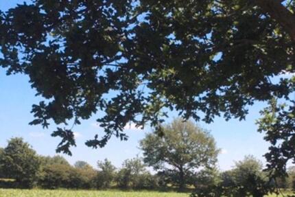 Modernes Wohnen in einer ruhigen und idyllischen Feldrandlage. - Großenwiehe