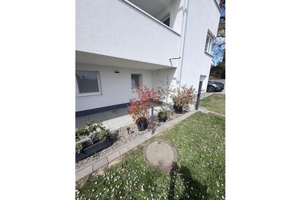 Wohnung 2-3 Zimmer Brasselsberg Kassel zu vermieten ab 01.09
