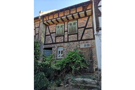 Verkaufe einzigartigen Vierseitenhof in toller Lage - Münzenberg