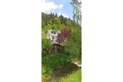 4,5-Zimmer-EG-Wohnung mit Wintergarten, Terrasse in Tuttlingen-Möhringen