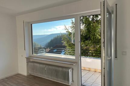 Lichtdurchflutete 2-Zimmer-Wohnung mit Balkon u. toller Aussicht - Schramberg Tennenbronn