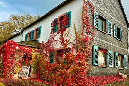 Entkerntes Einfamilienhaus mit großem Grundstück - Alflen