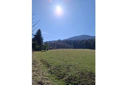 Haus zum Kaufen in Waltersdorf 169.000,00 € 100 m²