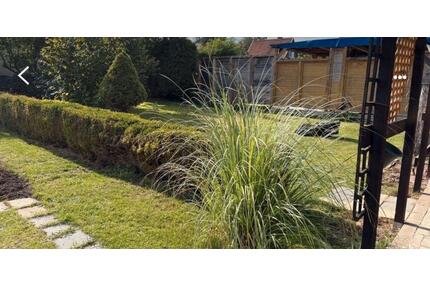 Pachtgarten - 2.600,00&nbsp;EUR Kaltmiete, ca.&nbsp; 0,00&nbsp;m&sup2; in Bad Langensalza (PLZ: 99947)