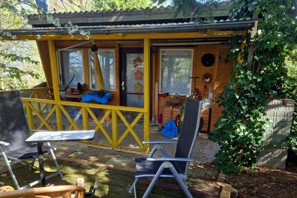 Pacht Garten (400 qm) mit Gartenlaube, Schuppen - Wernigerode