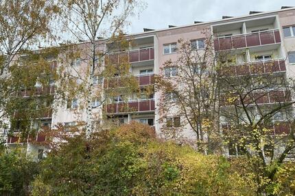 Neu saniert mit Balkon! - 353,00&nbsp;EUR Kaltmiete, ca.&nbsp; 57,76&nbsp;m&sup2; in Halle (Saale) (PLZ: 06132) Silberhöhe