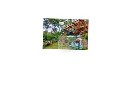 Liebvolles gepflegtes Grundstück mit Bungalow am Klobichsee - Müncheberg / Münchehofe