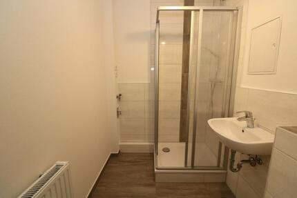 Ja ich will...neu sanierte 3-RW mit Dusche & Balkon!!! - Freiberg