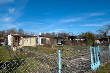 Pachtgarten in Forst (Lausitz) 400m2