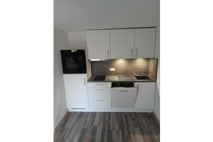 Frisch renoviertes 1-Zimmer Appartement zu vermieten - Gießen