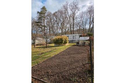 Pachtgarten 516 qm - 2.900,00&nbsp;EUR Kaltmiete, ca.&nbsp; 0,00&nbsp;m&sup2; in Nordhausen (PLZ: 99734)