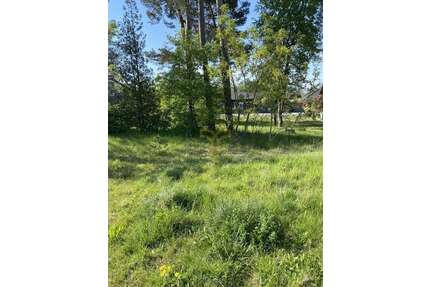 Grundstück zu verkaufen in StüdeSassenburg 34.850,00 € 410 m² - Stüde/Sassenburg