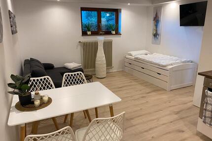 Apartement Wohnung möbliert Ferienwohnung 1 Zimmer renoviert - Todtmoos