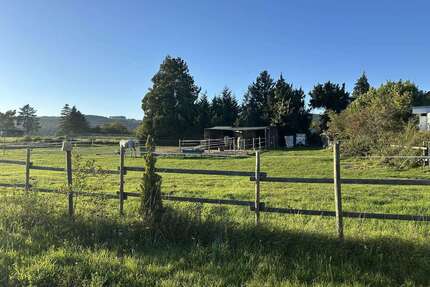Wohnung zum Kaufen in Eltville am Rhein 309.000,00 € 91 m²