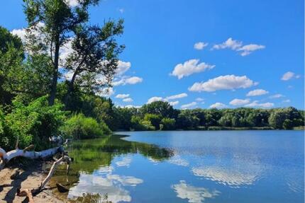 Bright Furnished Studio in Quiet Green Area – Berlin