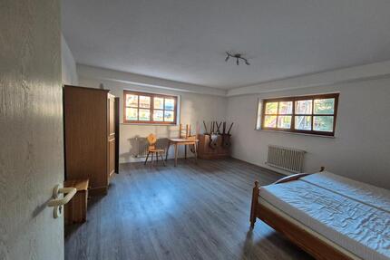 1-Zimmer-Souterrain-Appartement im Glottertal