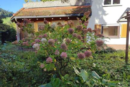 !!! RESERVIERT !!! 4,5 Zimmer Erdgeschosswohnung mit Traumgarten - Waldkirch Kollnau