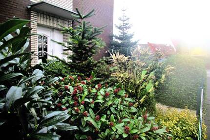 Gemütliche Single-DG-Whg. mit EBK, ohne Balkon, 2. OG in Wohnhaus m. 3 Einheiten - Cloppenburg