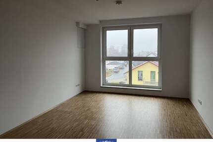 Wohnung zum Mieten in Arnsdorf 580,00 € 44.19 m²