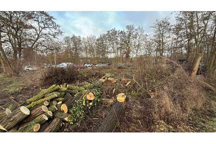 Wohnung zum Kaufen in Eberswalde 156.870,00 € 24.9 m²