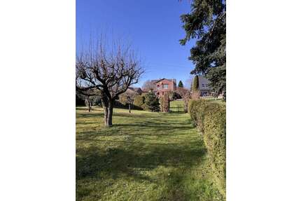 Haus zum Kaufen in Holzdorf 339.000,00 € 180 m²