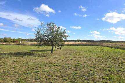 Grundstück zu verkaufen in Ahrensfelde 265.000,00 € 8076 m²