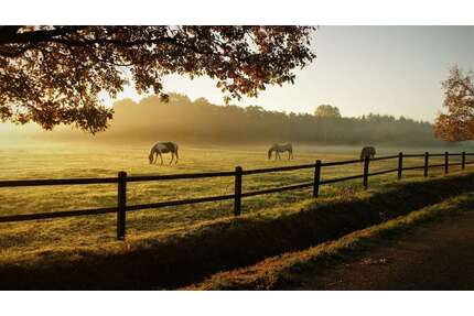 Grundstück zu verkaufen in Ibbenbüren 34.188,00 € 4884 m²