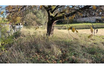 Ländlich wohnen - 55.000,00&nbsp;EUR Kaufpreis, ca.&nbsp; 0,00&nbsp;m&sup2; in Neustadt (PLZ: 01844) Langburkersdorf