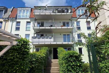 Wohnung zum Kaufen in Greifswald 318.000,00 € 81.19 m²