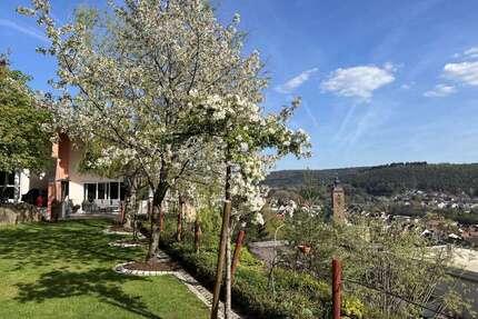 Haus zum Kaufen in Rodalben 1.790.000,00 € 350 m²