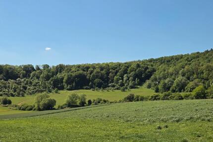 Landwirtschaftsflächen - 4.000,00&nbsp;EUR Kaltmiete, ca.&nbsp; 0,00&nbsp;m&sup2; in Schwalbach (PLZ: 66773)