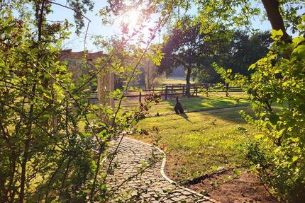 Ferienwohnung in Mecklenburg - 60,00&nbsp;EUR Kaltmiete, in Malchow (PLZ: 17213)