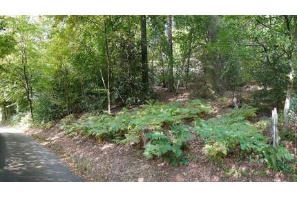 Freiraum und Platz; großes Grundstück in beschaulicher Stadtrandlage - Gummersbach - Wasserfuhr