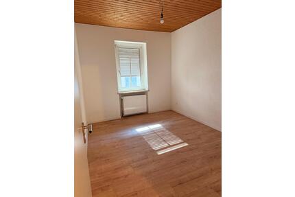 Wohnung 3 Zimmer + separates Appartement - Neuwied