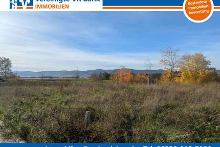 Grundstück zu verkaufen in Neustadt 487.500,00 € 650 m²