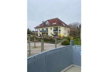 Wohnung zum Mieten in Dresden 491,00 € 57.76 m²