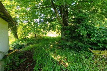 kleiner Bauernhof mit Scheune zum verwirklichen - Wald-Michelbach